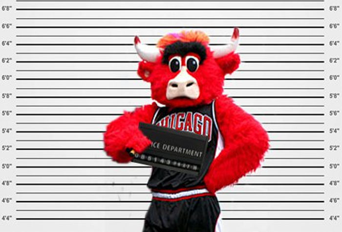 benny the bull arrested benny the bull arrested