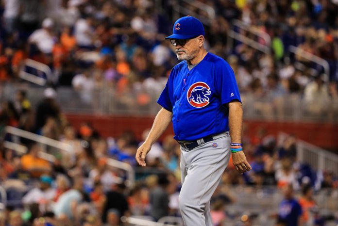 Joe Maddon joe maddon