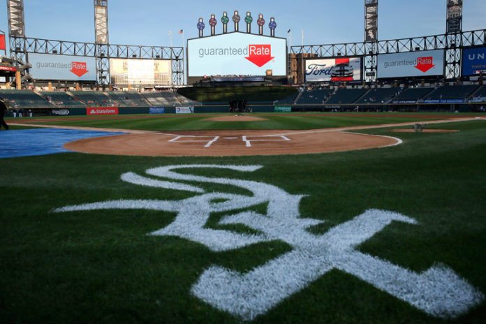 26-Y-RIGHTS-master768