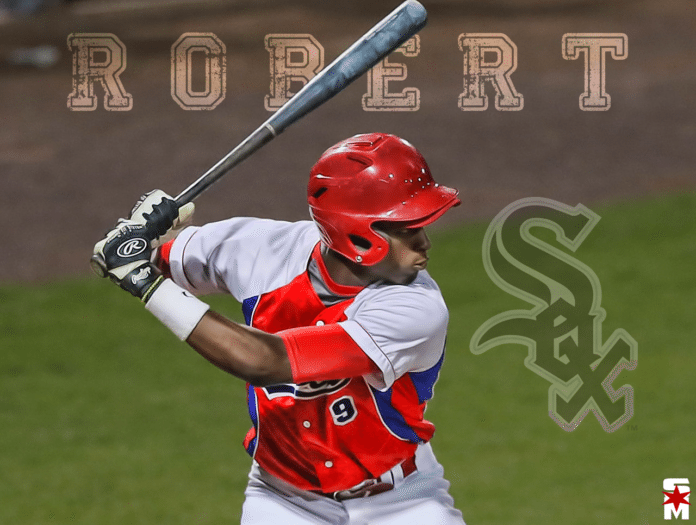 Luis Robert