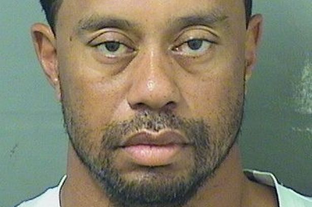Tiger Woods DUI tiger woods arrested dui charge florida