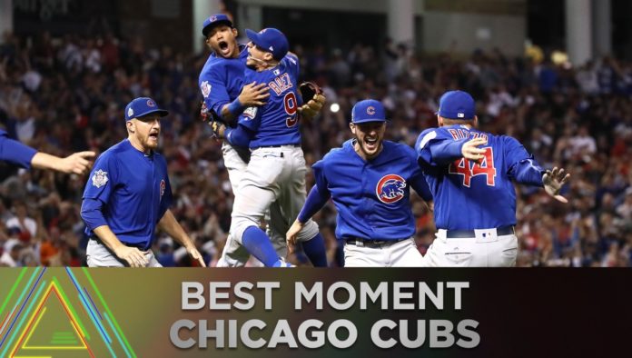 Untitled chicago cubs