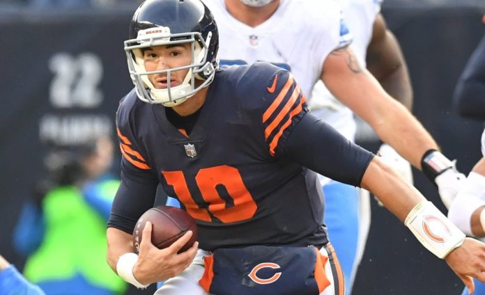 Chicago Bears fans chicago bears