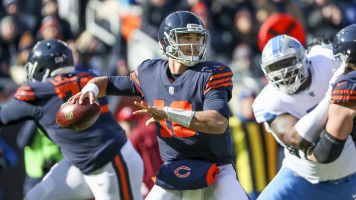 ct-bears-lions-week-11-photos-019