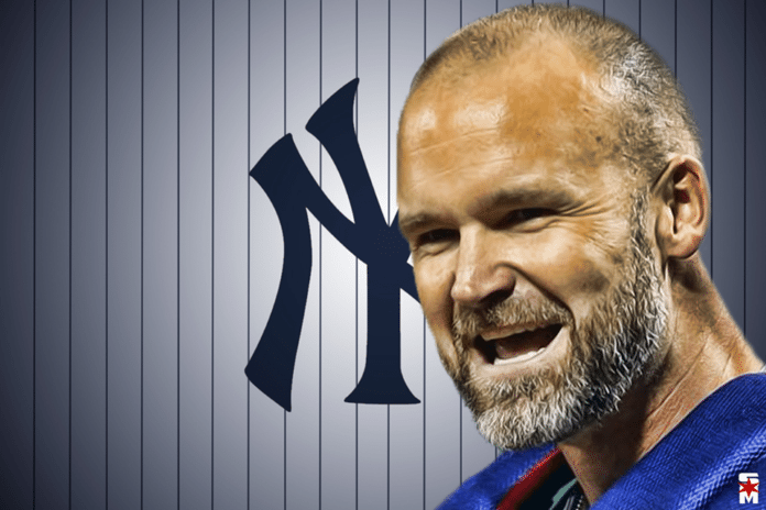 david ross yankees