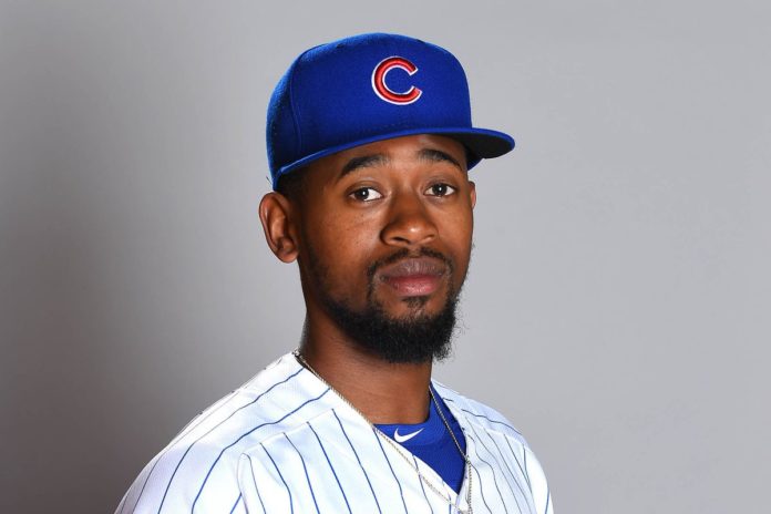david garner suspended cubs