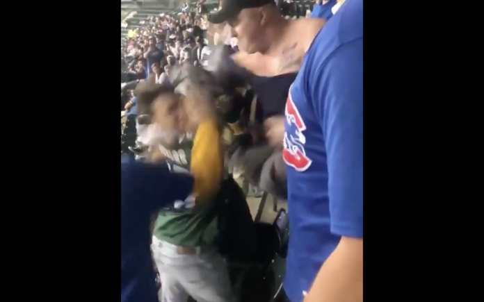 Cubs Brewera fans fighting
