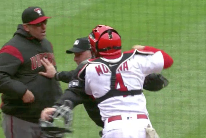 Yadier Molina fighting manager umpire