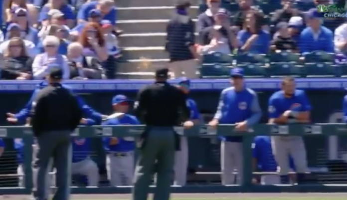 Cubs coach throws drink at umpire