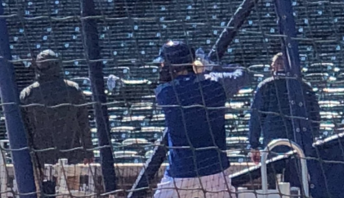 Kris Bryant face guard