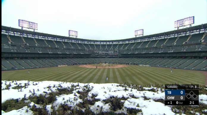white sox tampa bay game fans