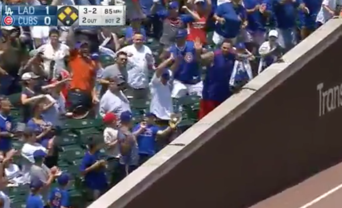 Cubs fan freaks out