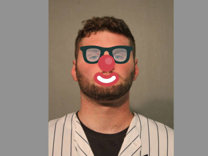 Yankees fan felony Wrigley Field Cubs game