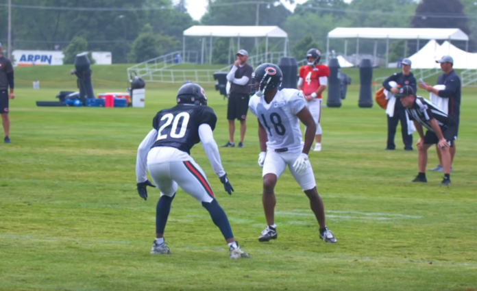 Bears training camp bears training camp