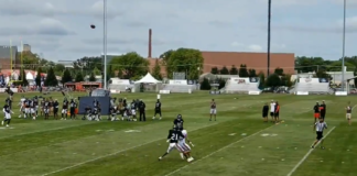 bears training camp