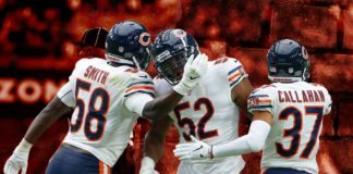 chicago bears defense