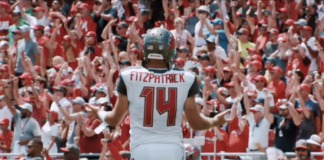 chicago bears defense