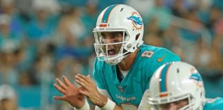 chicago bears defense