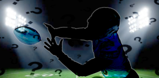 chicago bears defense