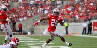 chicago bears mike weber