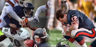 chicago bears