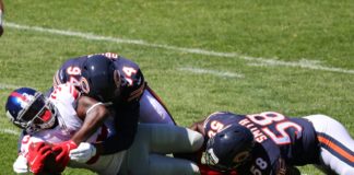 chicago bears defense