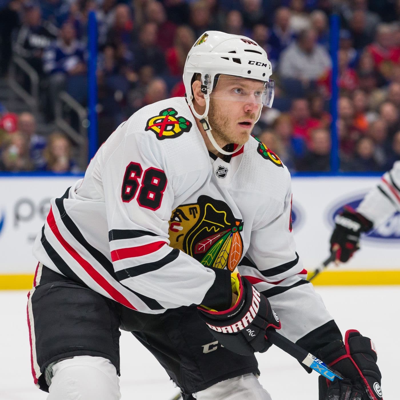 Defenseman Slater Koekkoek Reportedly Not Given Qualifying Offer From Defenseman Slater Koekkoek Reportedly Not Given Qualifying Offer From