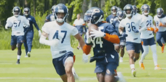 chicago bears defense