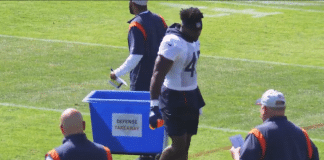 chicago bears defense