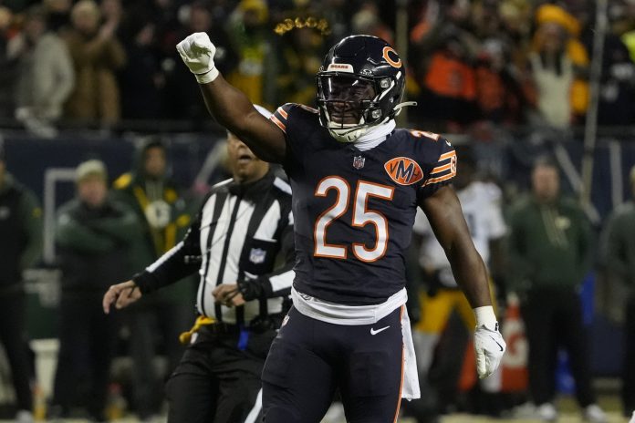 NFL: NFC Wild Card Round-Green Bay Packers at Chicago Bears kyle monangai
