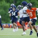 chicago bears