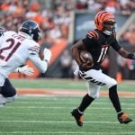 chicago bears