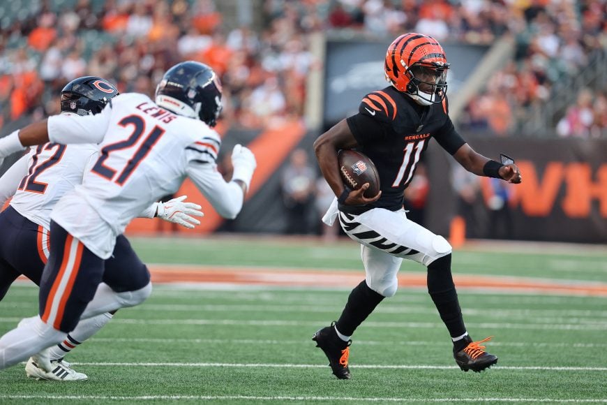 chicago bears