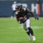 chicago bears