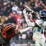 chicago bears
