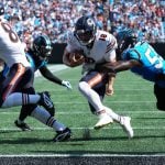 chicago bears