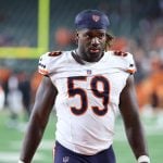 chicago bears